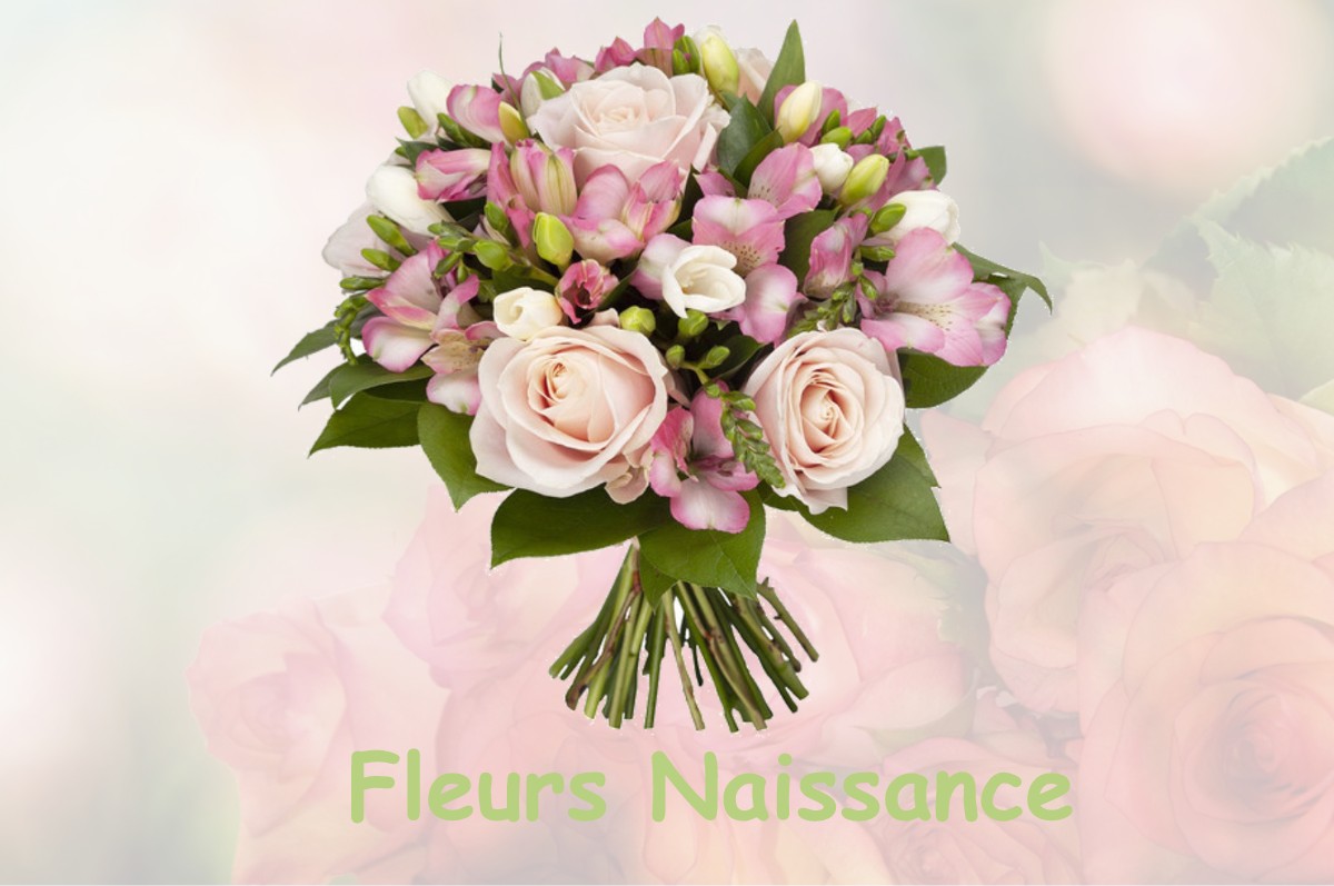 fleurs naissance BRIGNEMONT