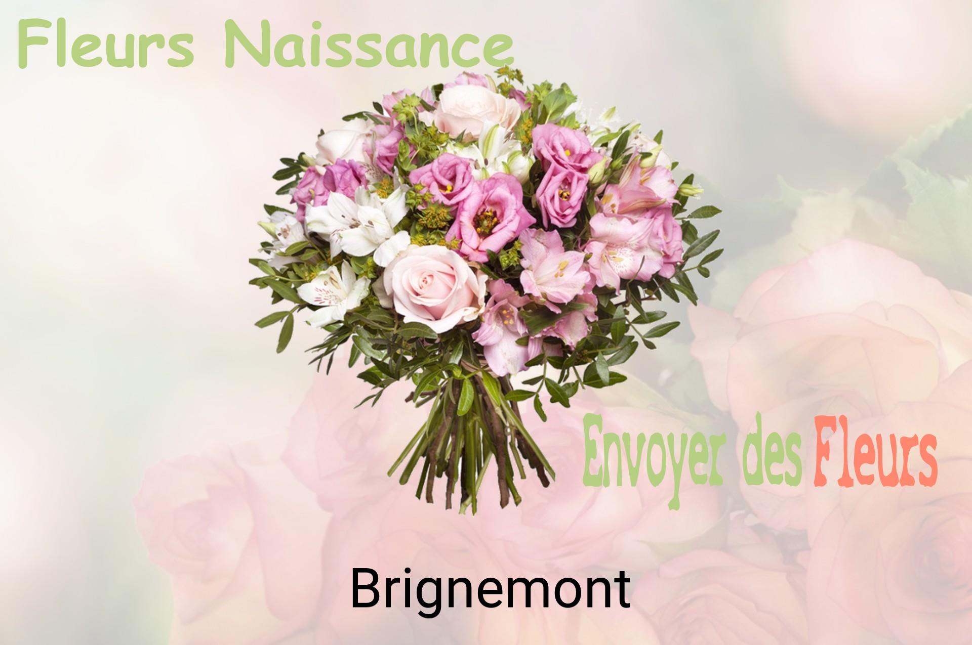 Bouquet de fleurs de naissance livré à Brignemont