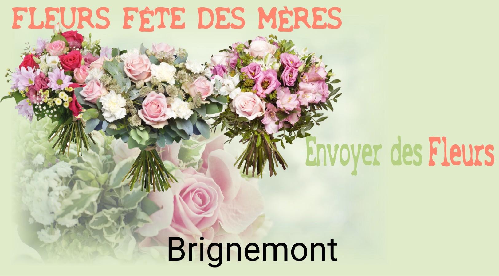 Bouquet de Fête des Mères livré à Brignemont