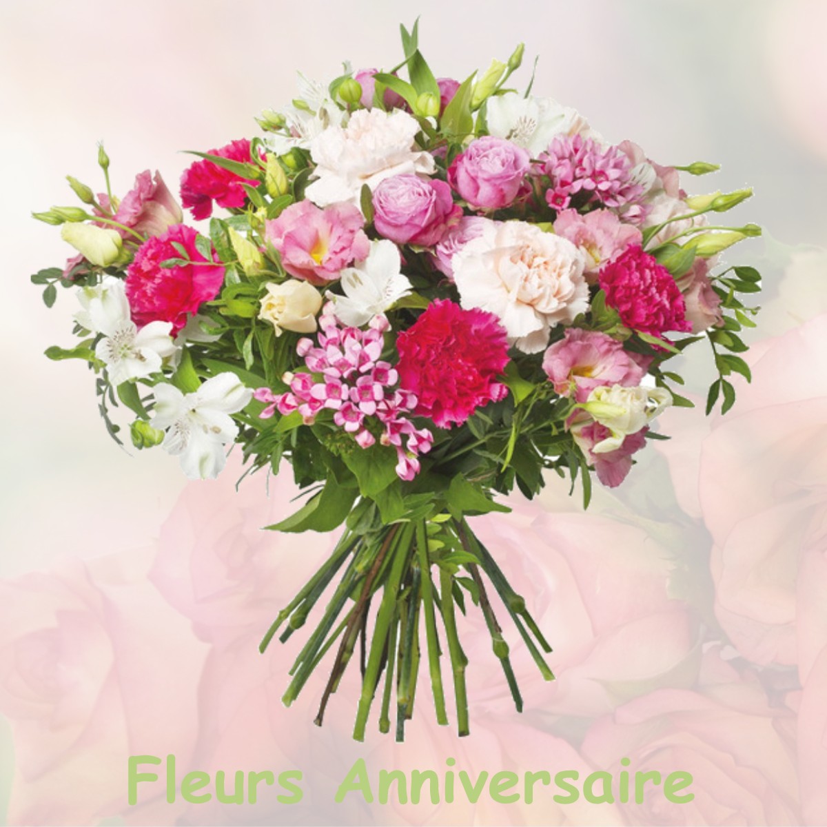 fleurs anniversaire BRIGNEMONT