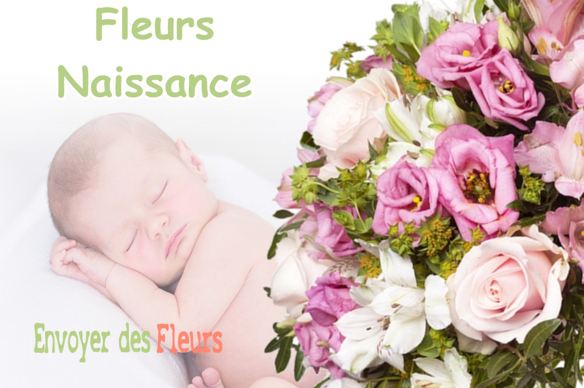 lIVRAISON FLEURS NAISSANCE à BRIGNEMONT